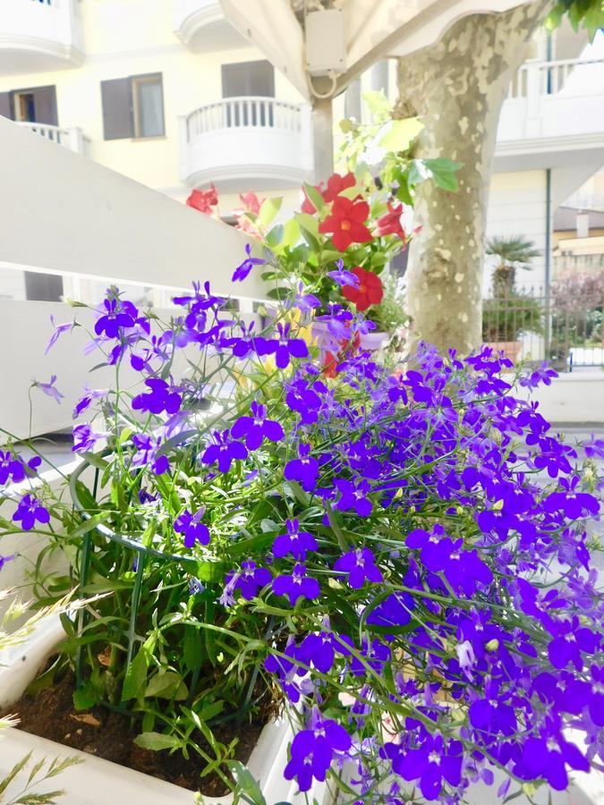 Hotel Dolores Rimini Luaran gambar