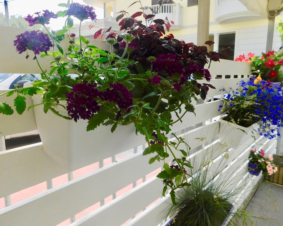 Hotel Dolores Rimini Luaran gambar
